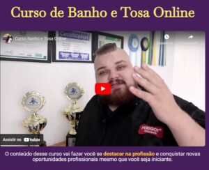 Curso Banho E Tosa Online